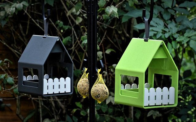 Fuglehus fra vidaXL - en bæredygtig og miljøvenlig løsning
