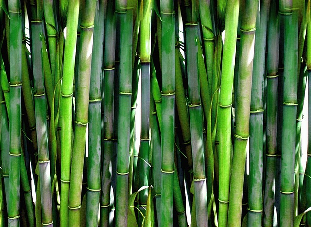 5 grunde til at vælge bambussengetøj til din baby